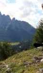Healing & Meditation Retreats, MANALI – 2024 10-16 May, 10-16 July, 10-16 August